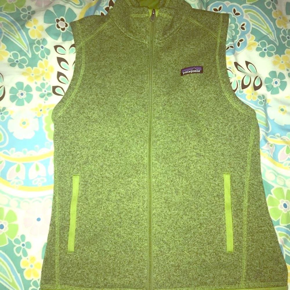 Patagonia vest